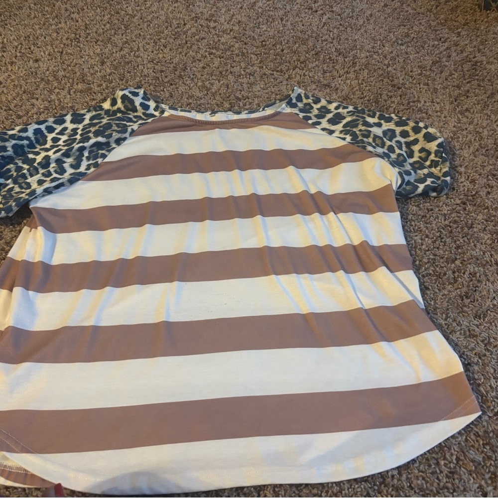 Striped and Leopard Print Raglan Top